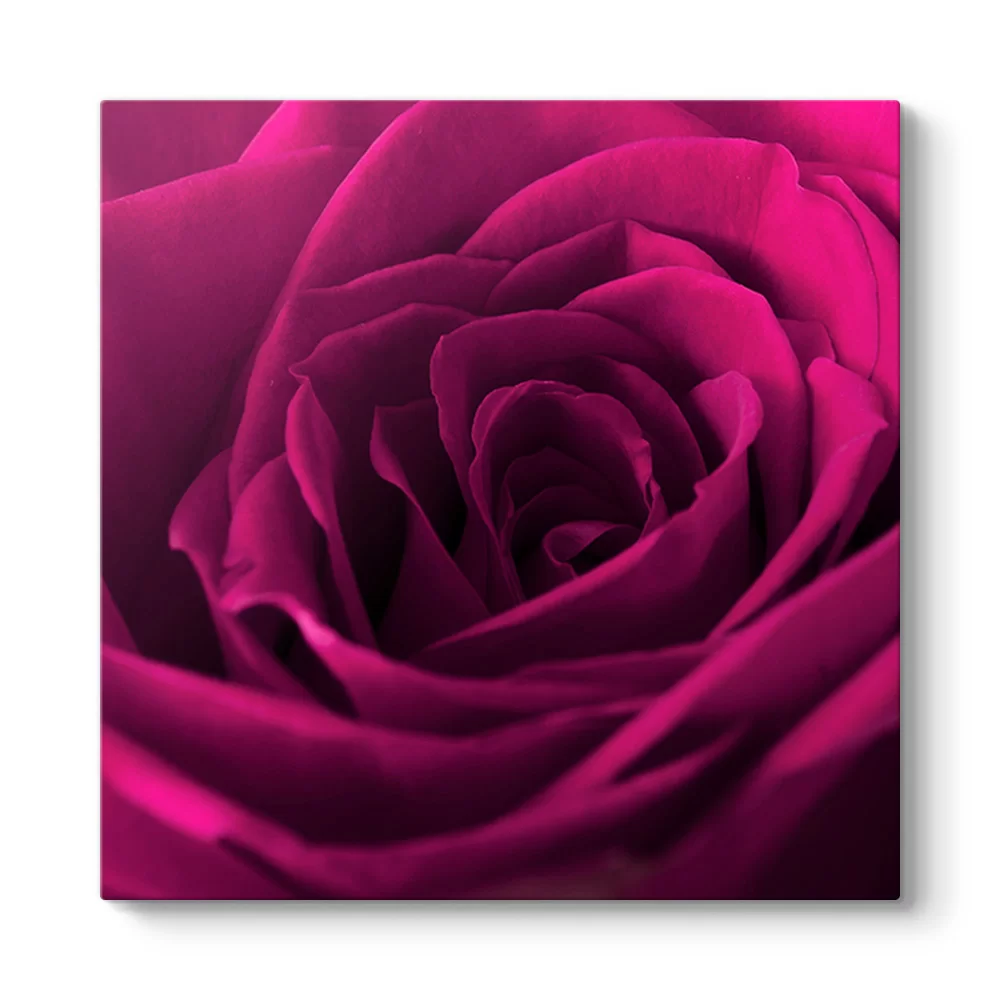 Bordo Gül Tablosu - Model 3